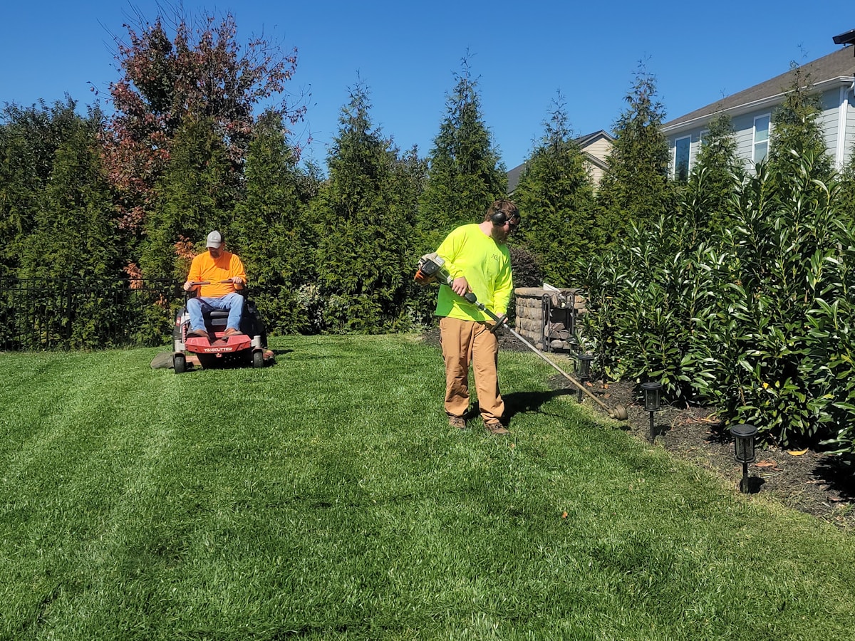 Gartenpflege: Rasen mähen und Hecken schneiden